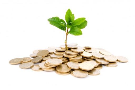 coins-and-plant-512x342 coins and a plant sprouting out from them