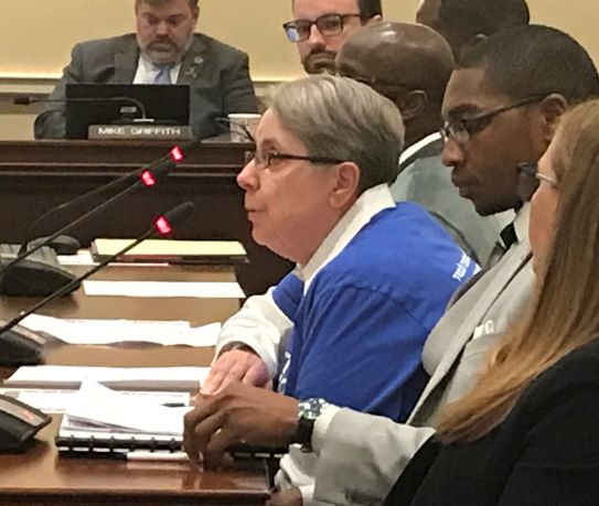carol-stern-testifying Carol Stern testifying in Annapolis pre-COVID